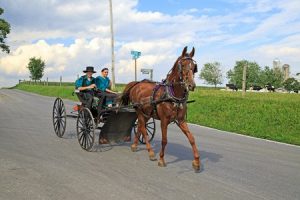 Amish in a horse and buggy