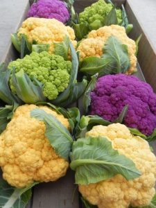 6 cauliflowers of different colors