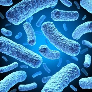 E-coli on a blue background
