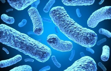 E-coli on a blue background