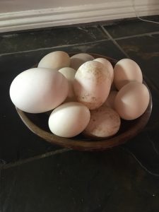 a bowl of fresh duck egg
