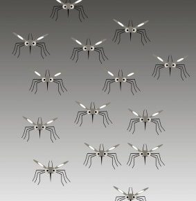 a sketch of mosquitoes lined up like an army.