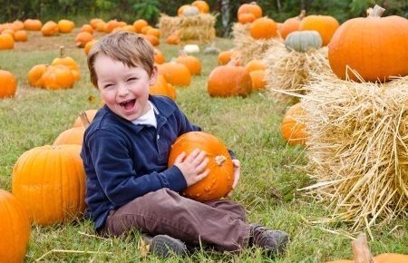 a cute little boy sitting in a pumplin patch holding a pumpkin and laughing