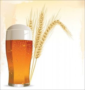 a glass of beer with 2 wheat shafts behind the glass