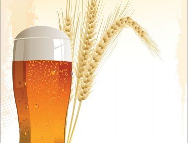 a glass of beer with a stalk of wheat behind it