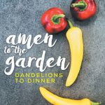 the jacket cover to Amen to The Garden