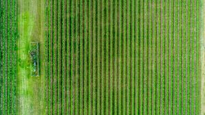 an aerial photo of a farm field