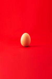 an egg on a red background
