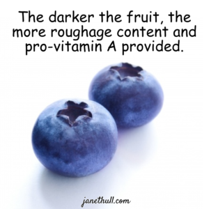 2 blueberries in a meme to eat dark fruits