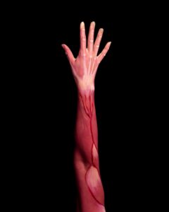 a picture altered of an arm and hand with the skin off the arm