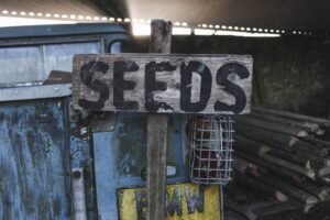 a seed sign hand written on a piece of wood