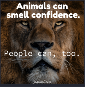 a meme with a lion for confidence