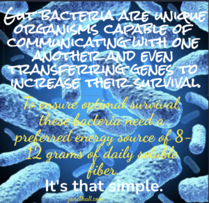 a meme about good gut bacteria